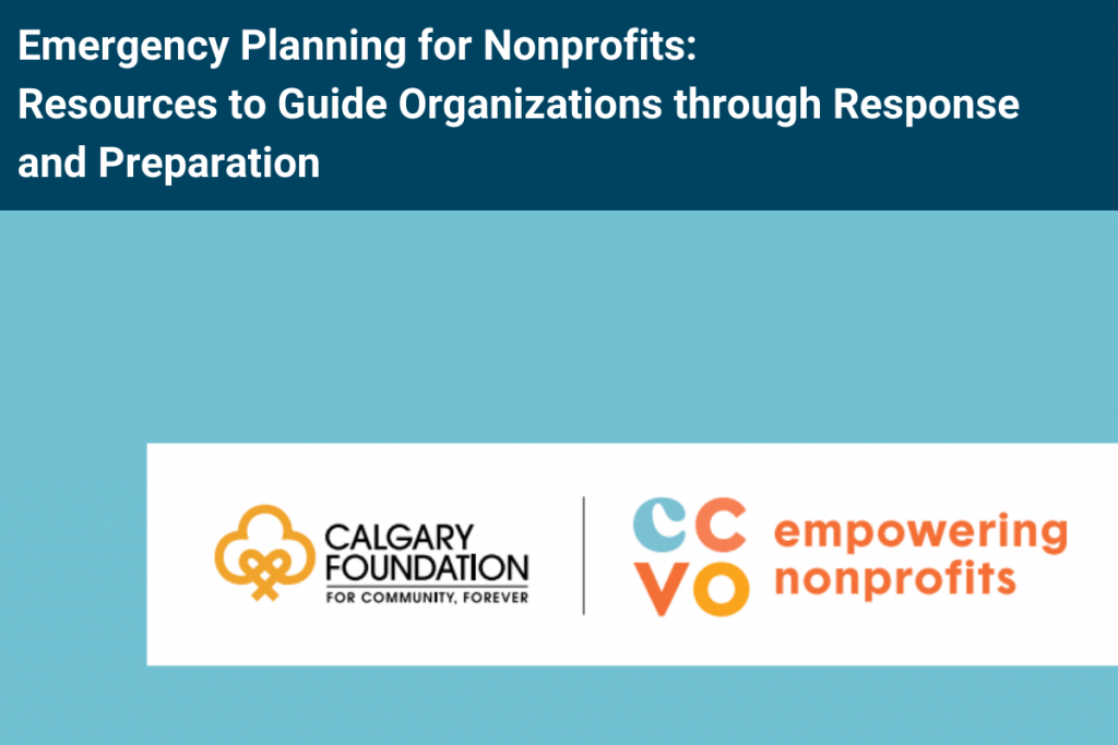 Nonprofits Emergency Organizations 3. Advocating for Funding and Policy Changes