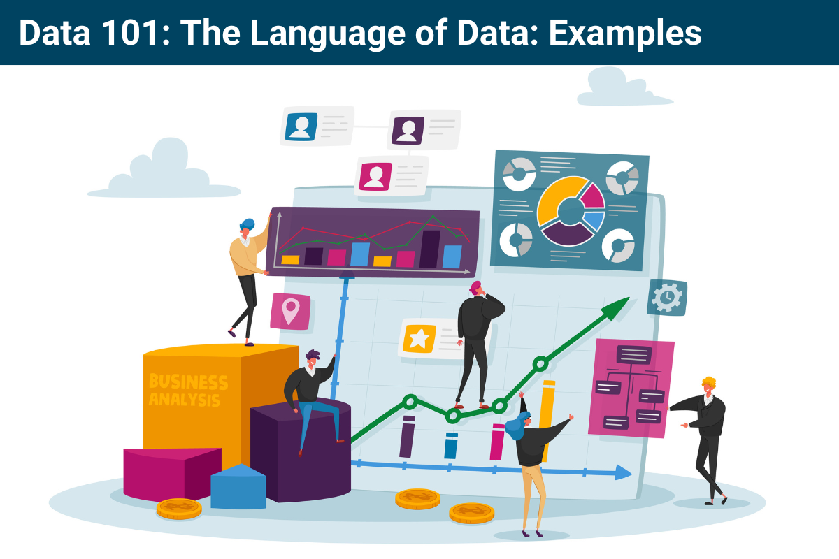 data-101-the-language-of-data-examples-onn-resource-centre